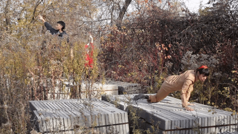 Body Is/As Landscape